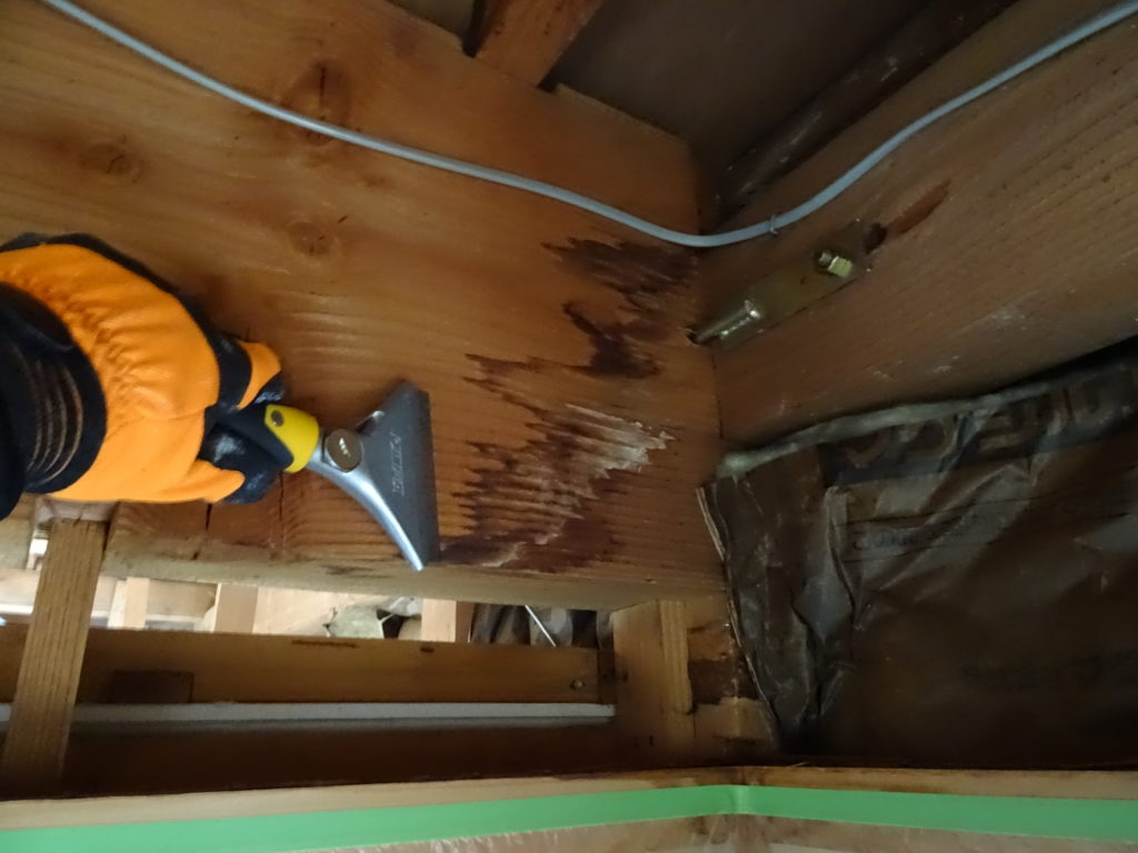 木部のカビの除去作業写真（雨漏り防水センター）