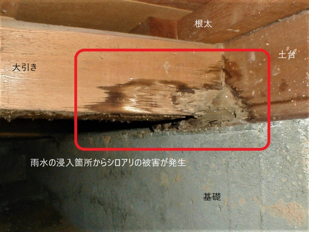床下の白蟻被害（雨漏り防水センター）
